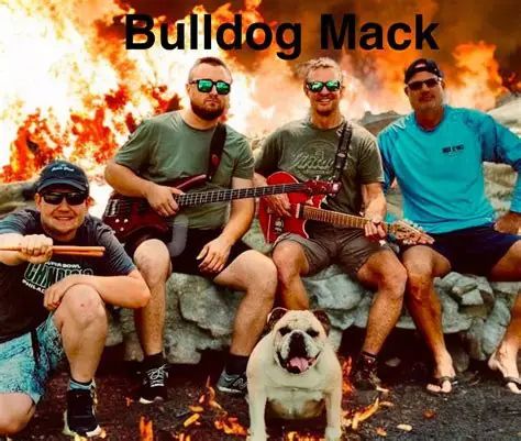 Hey Bulldog (Beatles Tribute)