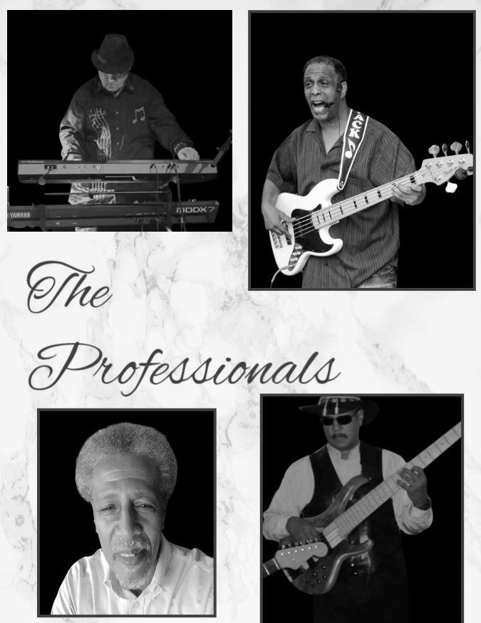 The Professionals (MPack)