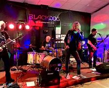 Black Dog (Led Zeppelin Tribute)
